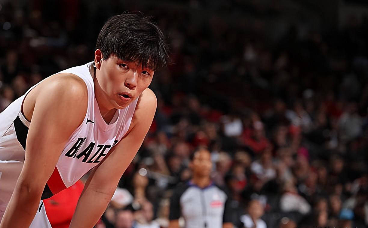 盖帽, 波特兰将有, 篮板 盖帽, 波特兰将有, 篮板